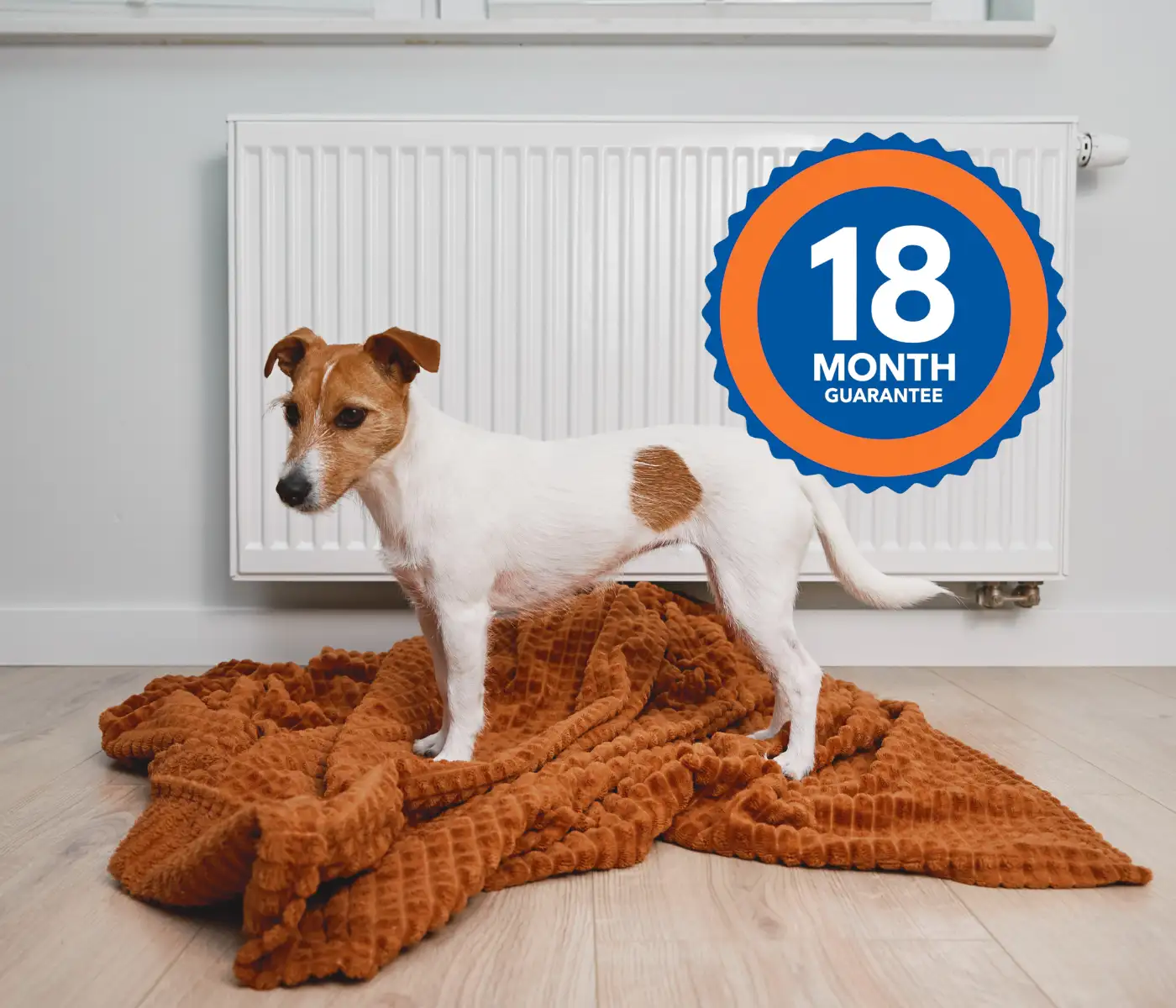 Powerflushing 18 Month Guarantee With The LS1 Plumbing Dog
